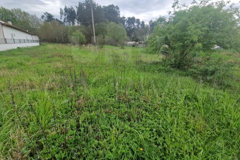 Terra a Gandra e Taiao, Viana do Castelo, Gandra e Taiao - € 320.000 | Ref: UNU-F1-11-23 - foto 5