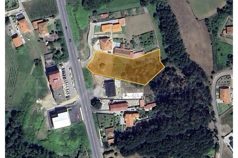 Terra a Gandra e Taiao, Viana do Castelo, Gandra e Taiao - € 320.000 | Ref: UNU-F1-11-23 - foto 6