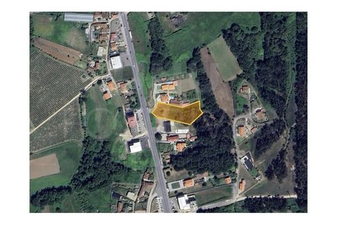 Terra a Gandra e Taiao, Viana do Castelo, Gandra e Taiao - € 320.000 | Ref: UNU-F1-11-23 - foto 7