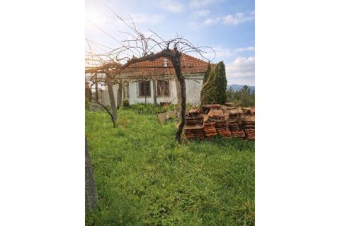 Villa a Paredes de Coura, Viana do Castelo, Paredes de Coura - € 135.000 | Ref: UNU-F1-11-19 - foto 4