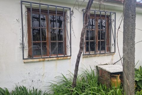 Villa a Paredes de Coura, Viana do Castelo, Paredes de Coura - € 135.000 | Ref: UNU-F1-11-19 - foto 3