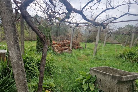 Villa a Paredes de Coura, Viana do Castelo, Paredes de Coura - € 135.000 | Ref: UNU-F1-11-19 - foto 8