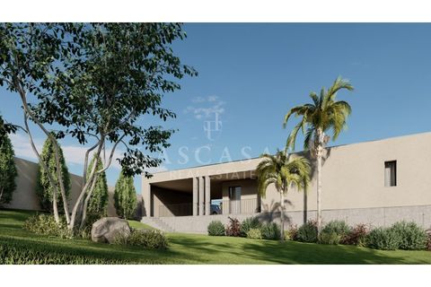 Villa i Ponte de Lima, Viana do Castelo, Ponte de Lima - € 359.000 | Ref: #170-2025 - foto 5