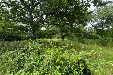 Villa i Boyer, Saone-et-Loire, Boyer - € 119.000 | Ref: 340934913343 - foto 5