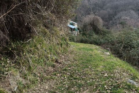 Villa a Varazze, Savona, Varazze - € 38.000 | Ref: 30128 - foto 5