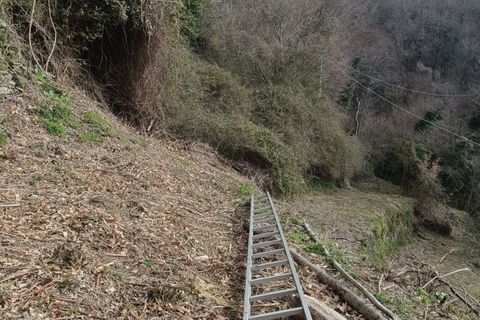 Villa a Varazze, Savona, Varazze - € 38.000 | Ref: 30128 - foto 26