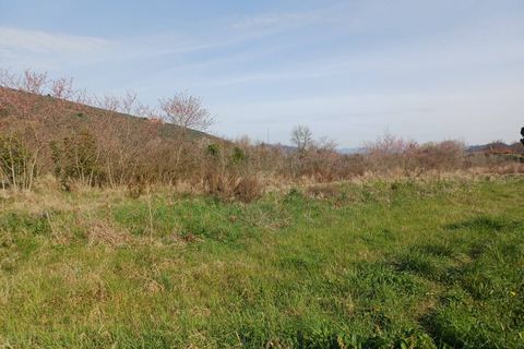 Terra a Vecchiano, Pisa, Vecchiano - € 11.000 | Ref: 2026073 - foto 2
