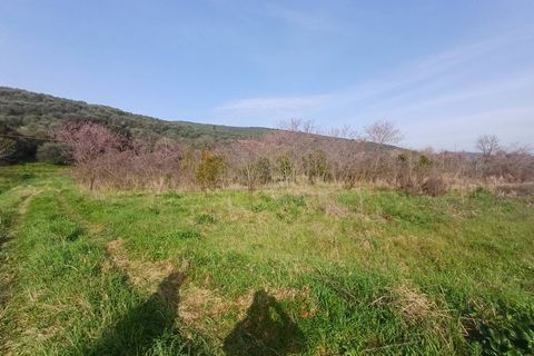Terra a Vecchiano, Pisa, Vecchiano - € 11.000 | Ref: 2026073 - foto 4