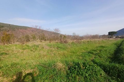 Terra a Vecchiano, Pisa, Vecchiano - € 11.000 | Ref: 2026073 - foto 6