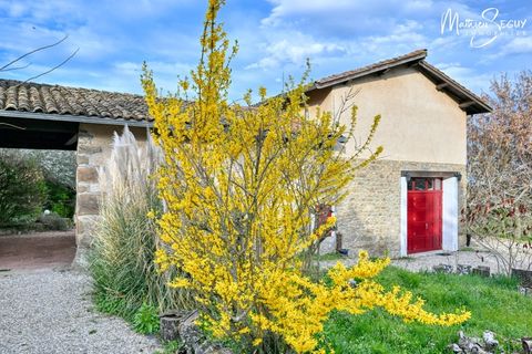 Villa i Thurins, Rhone, Thurins - € 420.000 | Ref: 340936533959 - foto 35