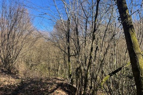 Landejendom i Domps, Haute-Vienne, Domps - € 266.000 | Ref: 347A896B0B1741D0 - foto 11