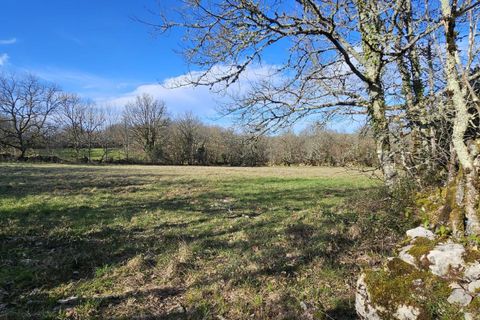 Landejendom i Saillac, Lot, Saillac - € 375.000 | Ref: 31F972DC435144FA - foto 4