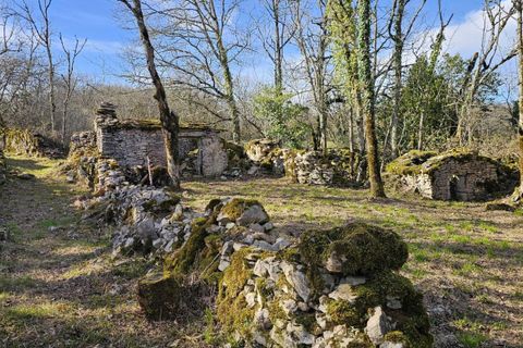 Landejendom i Saillac, Lot, Saillac - € 375.000 | Ref: 31F972DC435144FA - foto 17