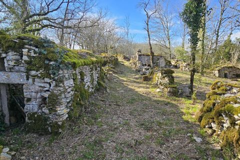Landejendom i Saillac, Lot, Saillac - € 375.000 | Ref: 31F972DC435144FA - foto 18