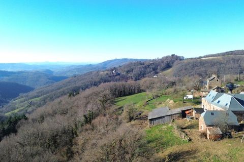Farm hus i Villecomtal, Aveyron, Villecomtal - € 199.000 | Ref: D673352873F94390 - foto 3
