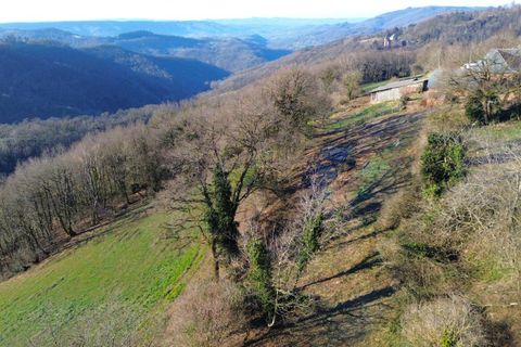 Farm hus i Villecomtal, Aveyron, Villecomtal - € 199.000 | Ref: D673352873F94390 - foto 19
