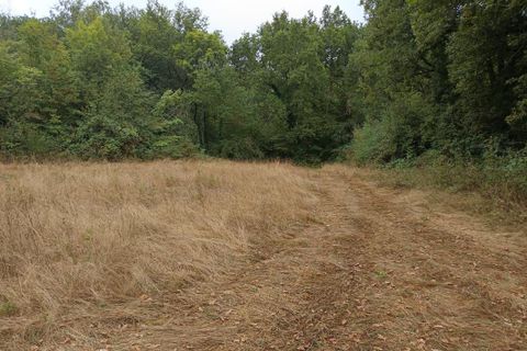 Terra a Carmaux, Tarn, Carmaux - € 28.000 | Ref: 0132E39E497E470A - foto 2