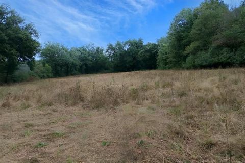 Terra a Carmaux, Tarn, Carmaux - € 28.000 | Ref: 0132E39E497E470A - foto 4