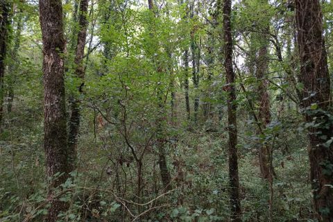 Terra a Carmaux, Tarn, Carmaux - € 28.000 | Ref: 0132E39E497E470A - foto 5