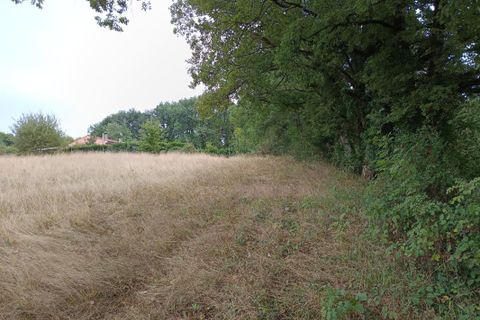 Terra a Carmaux, Tarn, Carmaux - € 28.000 | Ref: 0132E39E497E470A - foto 6