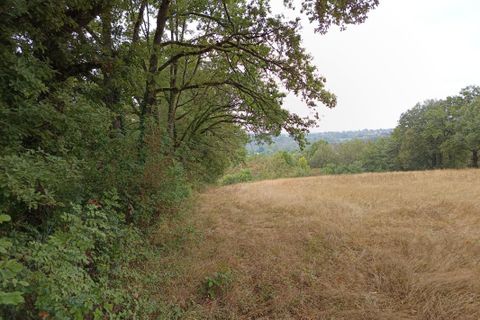 Terra a Carmaux, Tarn, Carmaux - € 28.000 | Ref: 0132E39E497E470A - foto 7