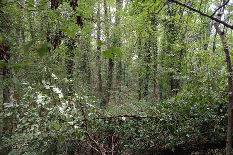 Terra a Carmaux, Tarn, Carmaux - € 28.000 | Ref: 0132E39E497E470A - foto 8