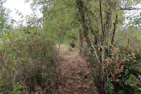 Terra a Carmaux, Tarn, Carmaux - € 28.000 | Ref: 0132E39E497E470A - foto 9
