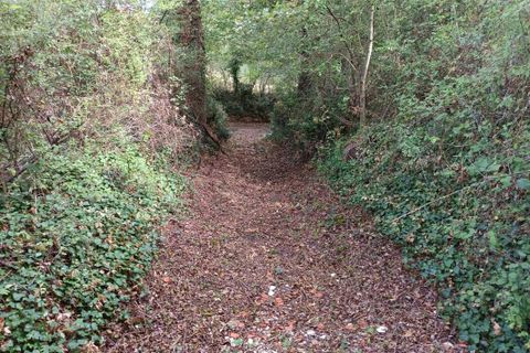 Terra a Carmaux, Tarn, Carmaux - € 28.000 | Ref: 0132E39E497E470A - foto 11
