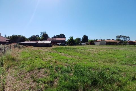 Terra a Laluque, Landes, Laluque - € 148.000 | Ref: B2377846FBE94BBA - foto 2