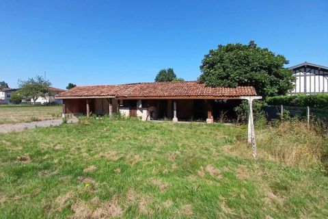 Terra a Laluque, Landes, Laluque - € 148.000 | Ref: B2377846FBE94BBA - foto 3