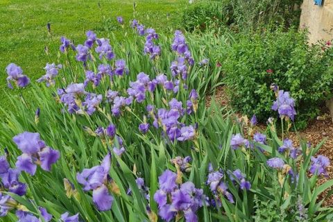Villa i Miradoux, Gers, Miradoux - € 656.000 | Ref: BA024A267D9142F9 - foto 9
