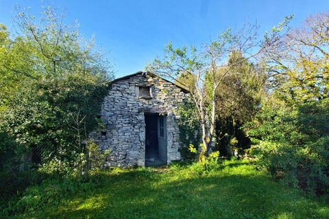 Landejendom i Caylus, Tarn-et-Garonne, Caylus - € 185.000 | Ref: 174DD4232D4A4E4D - foto 3