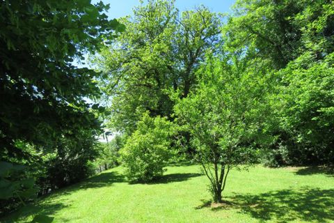 Villa a Juillac, Correze, Juillac - € 314.000 | Ref: 453EFF39A5034DE3 - foto 16