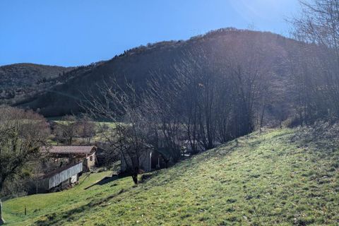 Landejendom i Nescus, Ariege, Nescus - € 299.000 | Ref: D1BE5B1122D046F2 - foto 19
