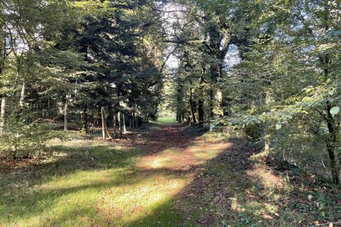 Villa a Hautefage, Correze, Hautefage - € 1.495.000 | Ref: 879094A348524505 - foto 19