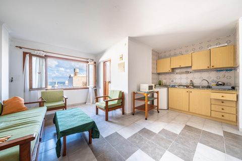 Erhvervsejendom i Capdepera, Mallorca, Capdepera - € 590.000 | Ref: 15TMNGRK035/3010 - foto 3
