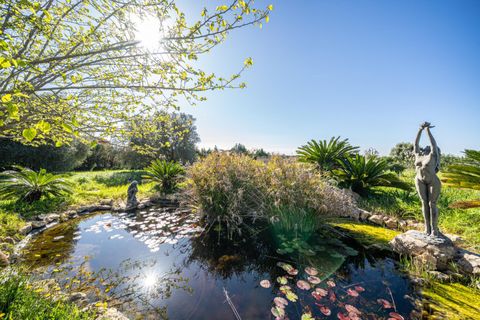 Terra a Llucmajor, Mallorca, Llucmajor - € 350.000 | Ref: 04SBDL378/3010 - foto 2