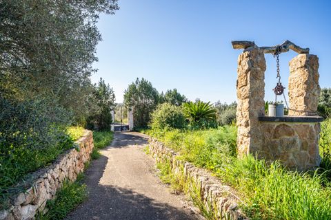 Terra a Llucmajor, Mallorca, Llucmajor - € 350.000 | Ref: 04SBDL378/3010 - foto 4