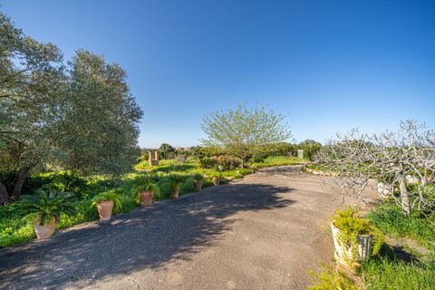 Terra a Llucmajor, Mallorca, Llucmajor - € 350.000 | Ref: 04SBDL378/3010 - foto 5