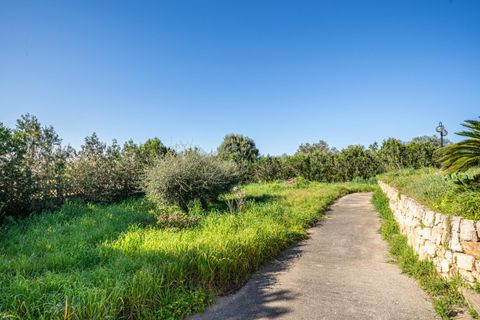 Terra a Llucmajor, Mallorca, Llucmajor - € 350.000 | Ref: 04SBDL378/3010 - foto 7