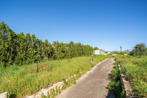 Terra a Llucmajor, Mallorca, Llucmajor - € 350.000 | Ref: 04SBDL378/3010 - foto 8