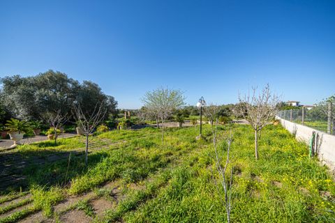 Terra a Llucmajor, Mallorca, Llucmajor - € 350.000 | Ref: 04SBDL378/3010 - foto 9