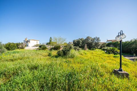 Terra a Llucmajor, Mallorca, Llucmajor - € 350.000 | Ref: 04SBDL378/3010 - foto 10