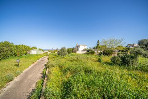 Terra a Llucmajor, Mallorca, Llucmajor - € 350.000 | Ref: 04SBDL378/3010 - foto 11