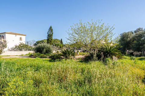 Terra a Llucmajor, Mallorca, Llucmajor - € 350.000 | Ref: 04SBDL378/3010 - foto 12