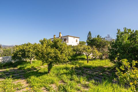 Terra a Llucmajor, Mallorca, Llucmajor - € 350.000 | Ref: 04SBDL378/3010 - foto 14