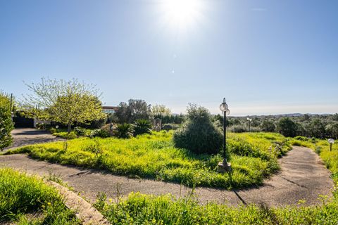 Terra a Llucmajor, Mallorca, Llucmajor - € 350.000 | Ref: 04SBDL378/3010 - foto 15