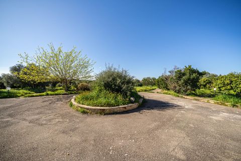 Terra a Llucmajor, Mallorca, Llucmajor - € 350.000 | Ref: 04SBDL378/3010 - foto 16