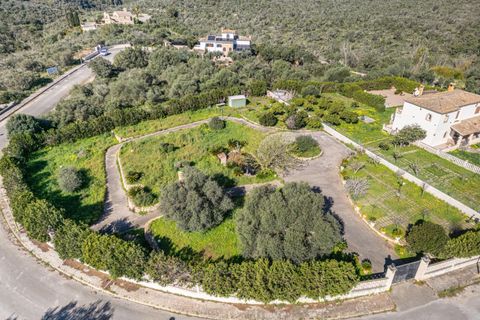 Terra a Llucmajor, Mallorca, Llucmajor - € 350.000 | Ref: 04SBDL378/3010 - foto 19