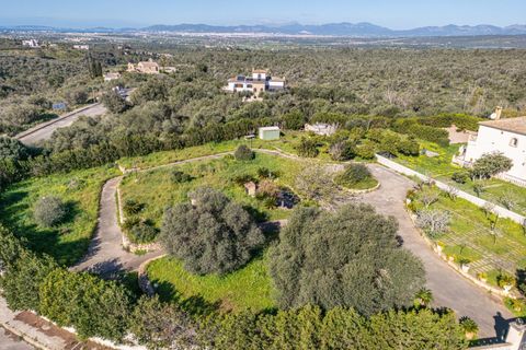 Terra a Llucmajor, Mallorca, Llucmajor - € 350.000 | Ref: 04SBDL378/3010 - foto 20